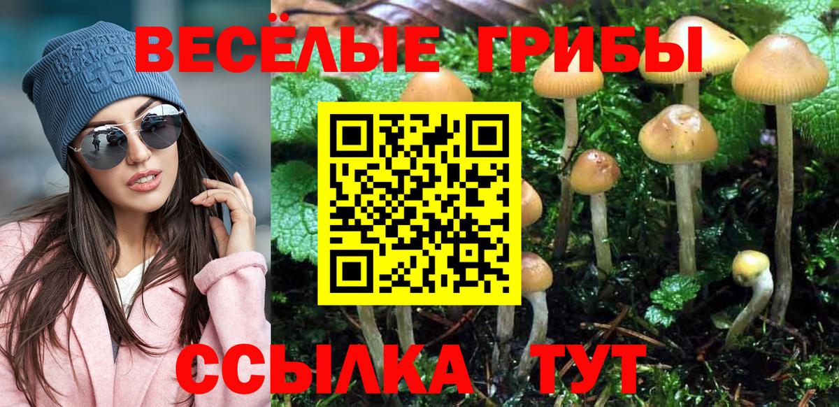 Кольчугино  Галлюциногенные грибы мицелий  Вход с VPN 
